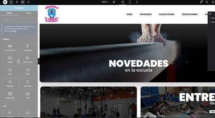 Captura de pantalla 2025-01-03 151123